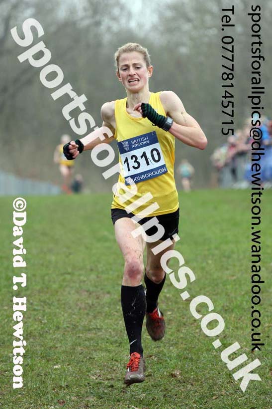 Senior womens Inter Counties Cross Country, Prestwold Hall, Loughborough. Photo: David T. Hewitson/Sports for All Pics